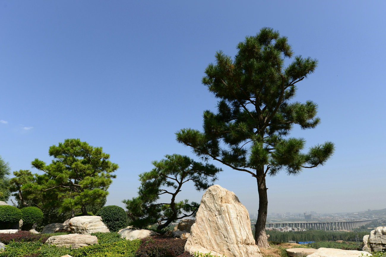 DSC_1743_副本.JPG