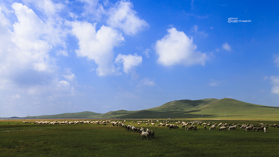 20130812_4828副本副本.jpg