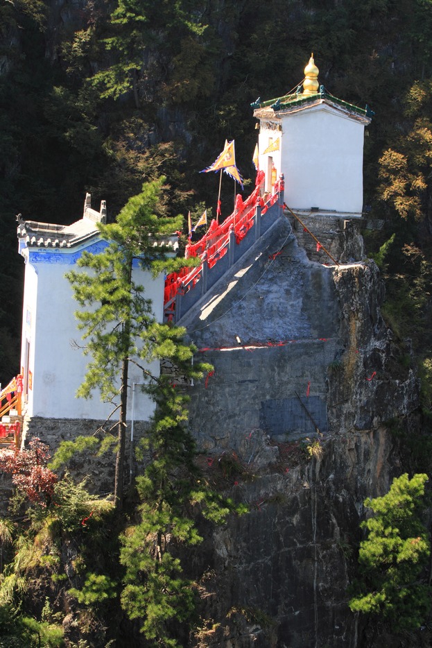 植物园310.jpg