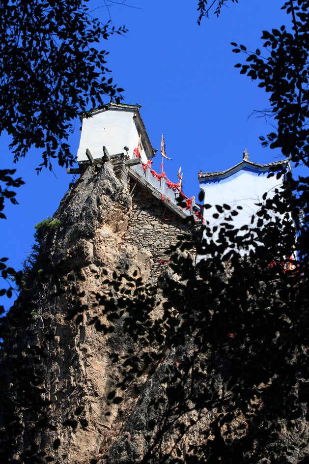 植物园314.jpg