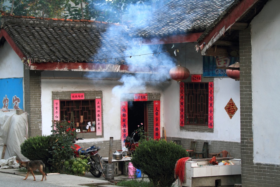 植物园316.jpg