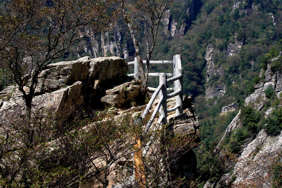 植物园326.jpg