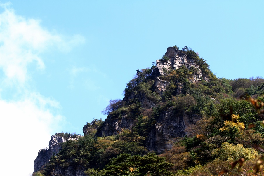 植物园328.jpg