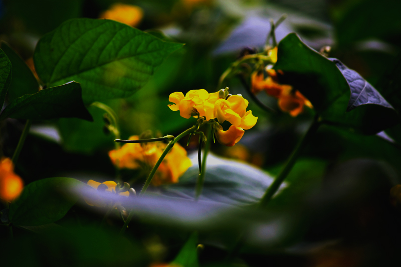 G_4717.jpg
