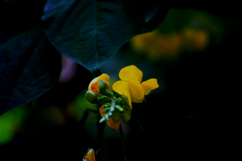 G_4718.jpg