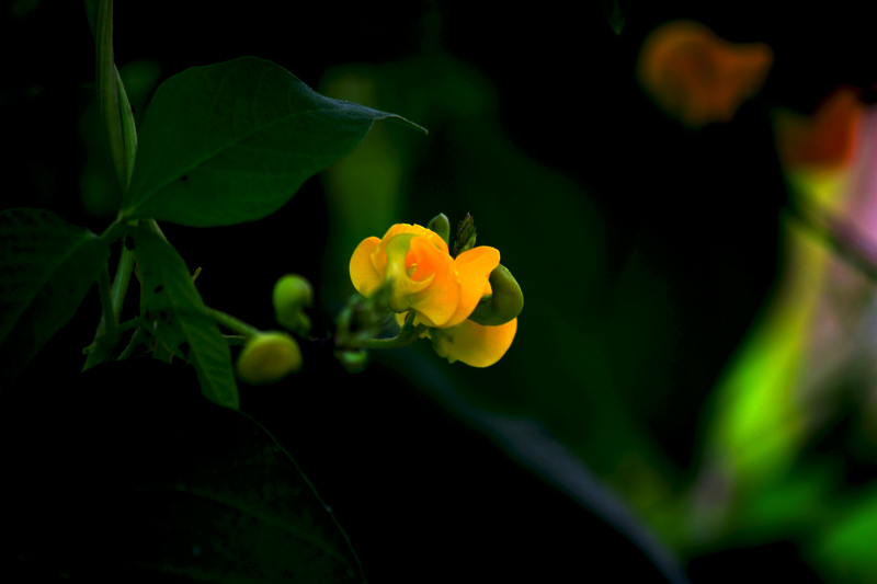 G_4719.jpg
