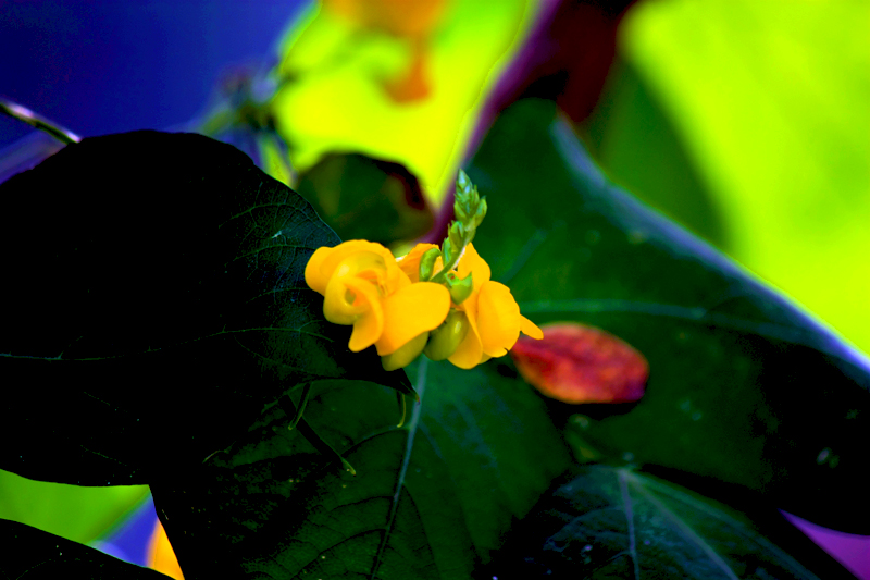 G_4720.jpg