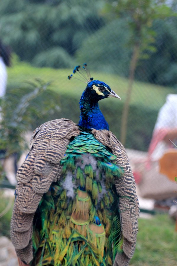img_7630.jpg