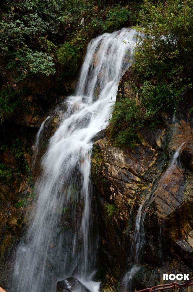 DSC_1557_副本.jpg