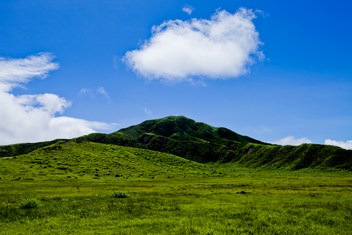 _MG_0178.jpg