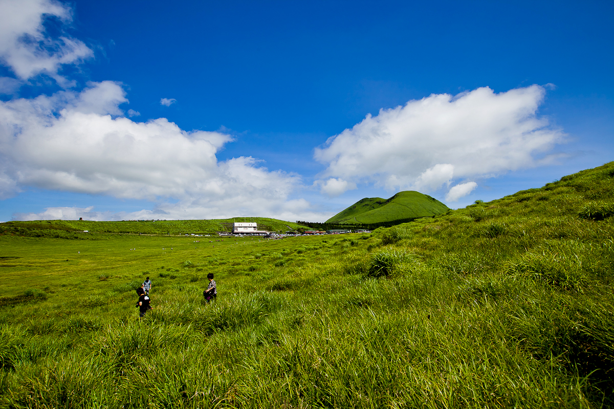 _MG_0186.jpg