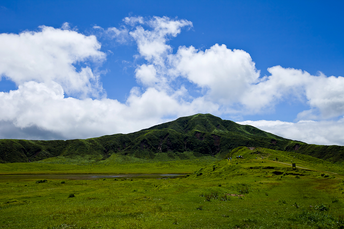 _MG_0225.jpg