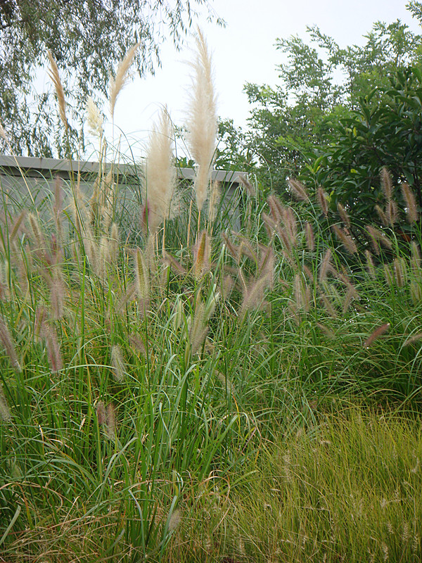 DSC07951_副本.jpg