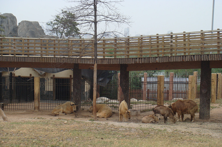 DSC07972_副本.jpg
