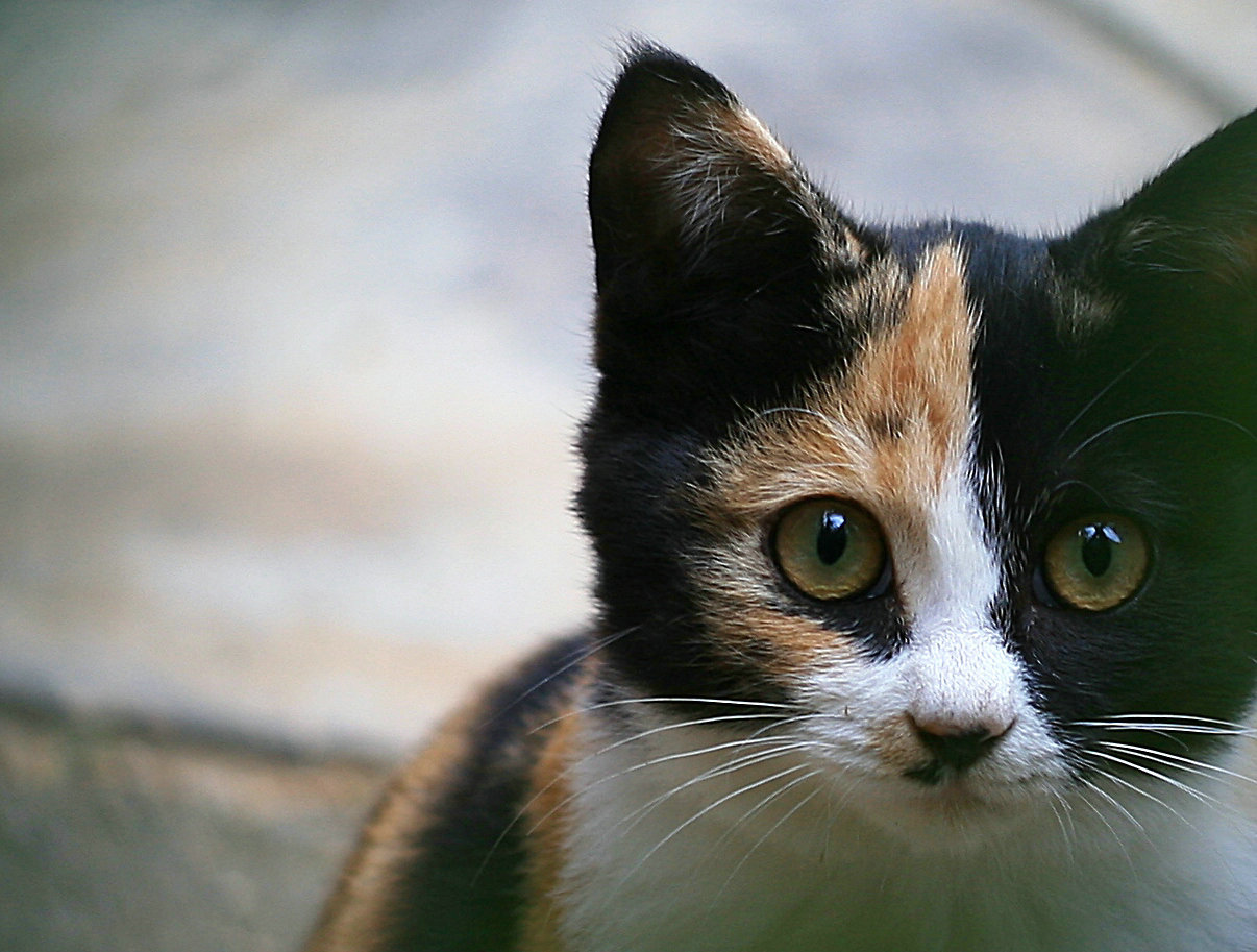 照片y 057.jpg