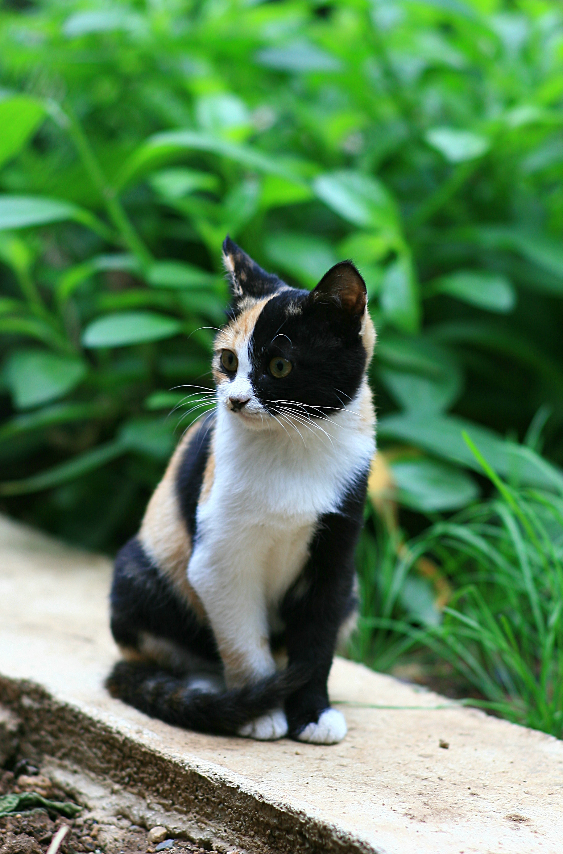 照片y 087.jpg