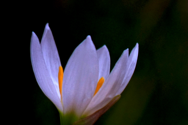 G_4637.jpg