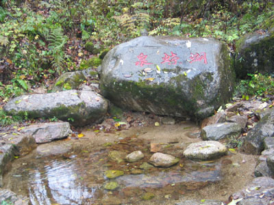 80596.jpg