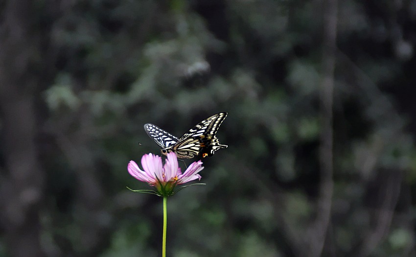 DSC_0035_conew1.jpg