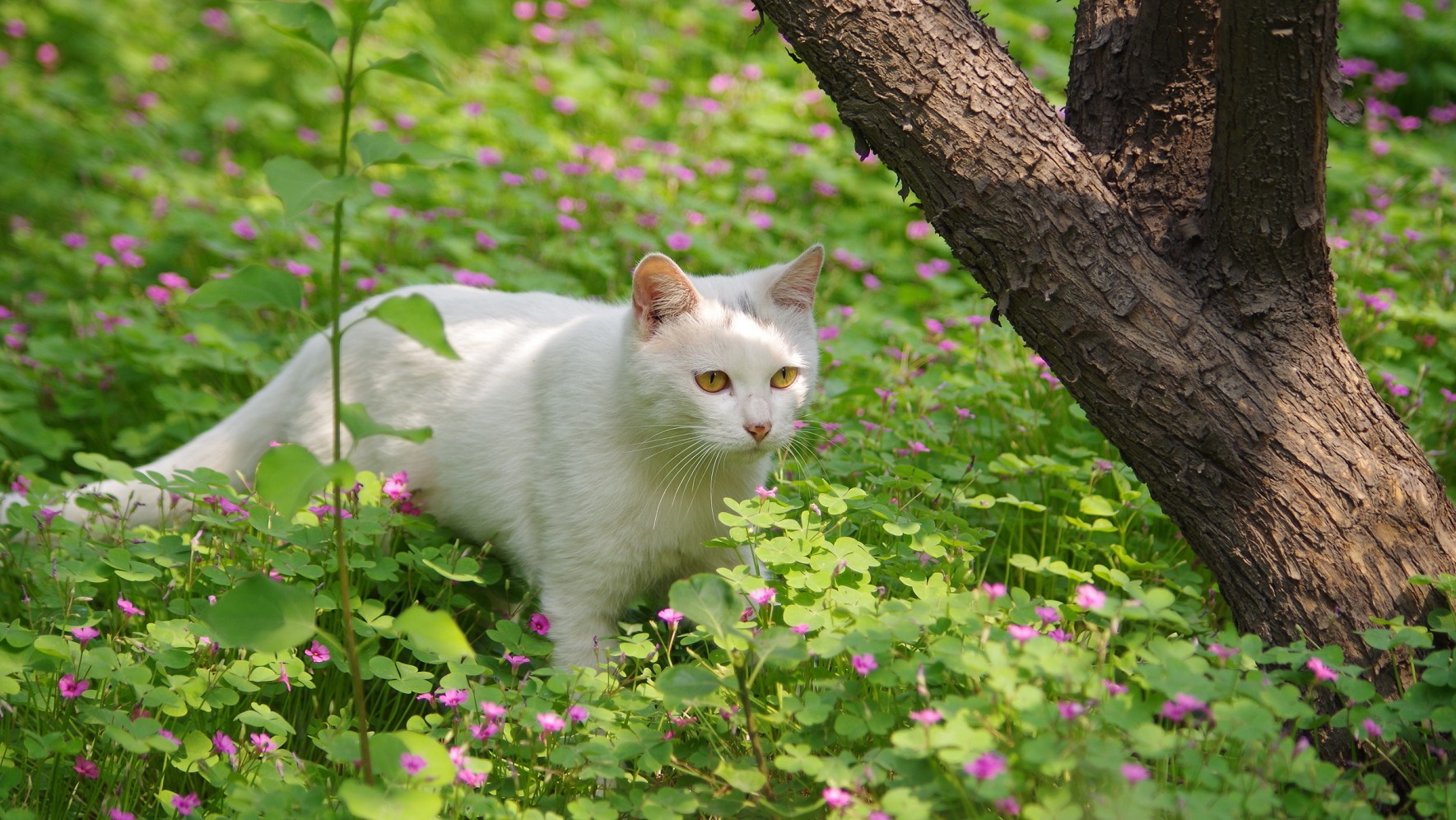 8[7VY@(`JV8}6KD])N9YSNE.jpg