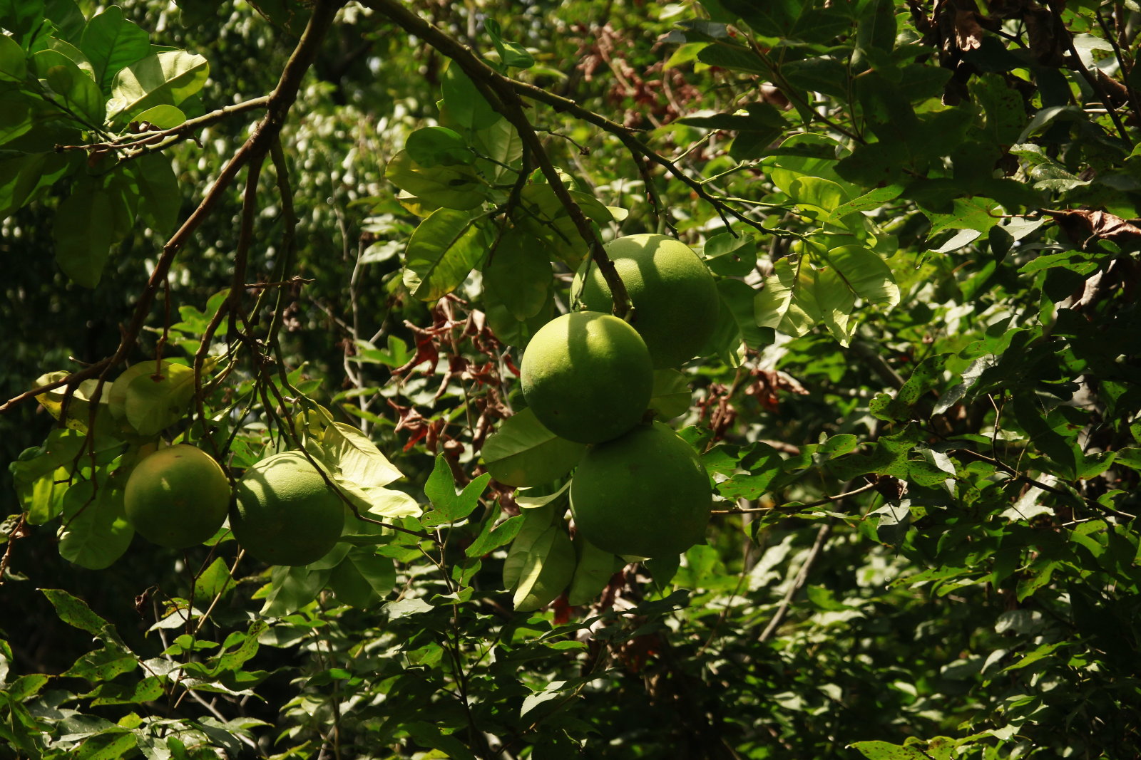 09.jpg