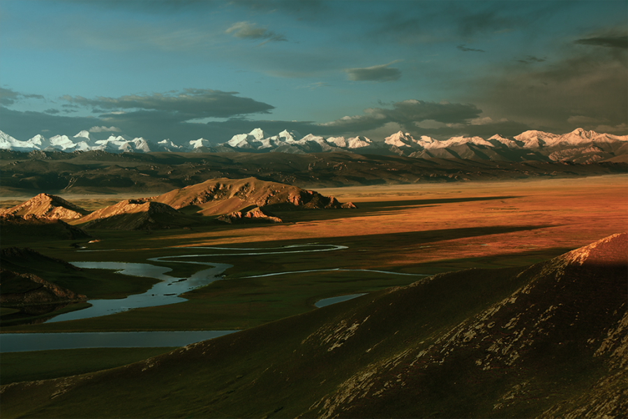DPP_0037.JPG