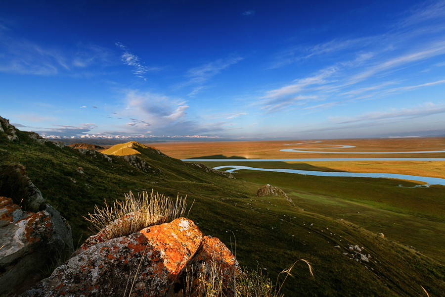 DPP_0040.JPG