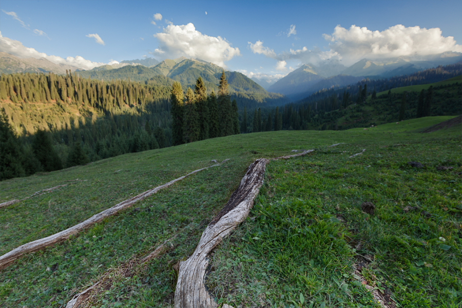 DPP_0053.JPG