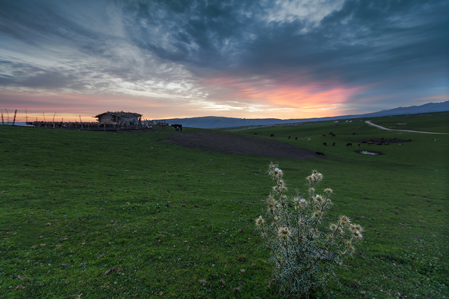 DPP_0093.JPG