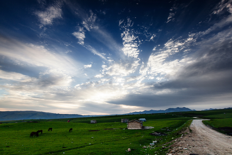 DPP_0096.JPG