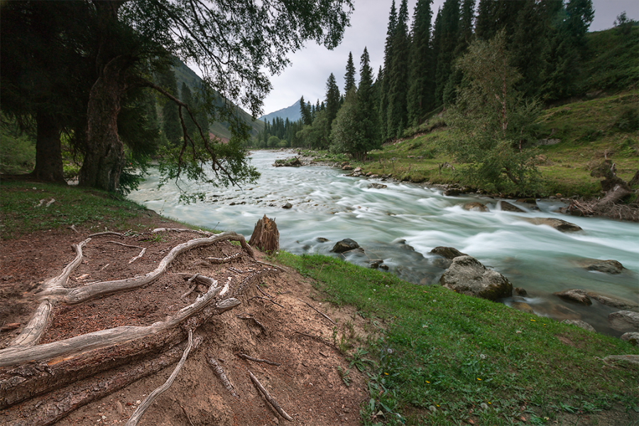 DPP_0110.JPG