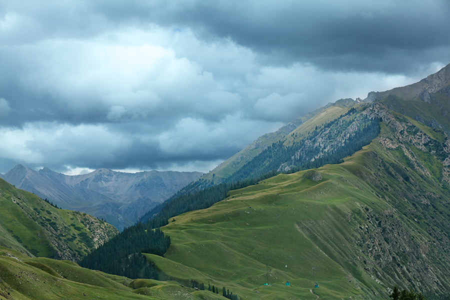 DPP_0121.JPG