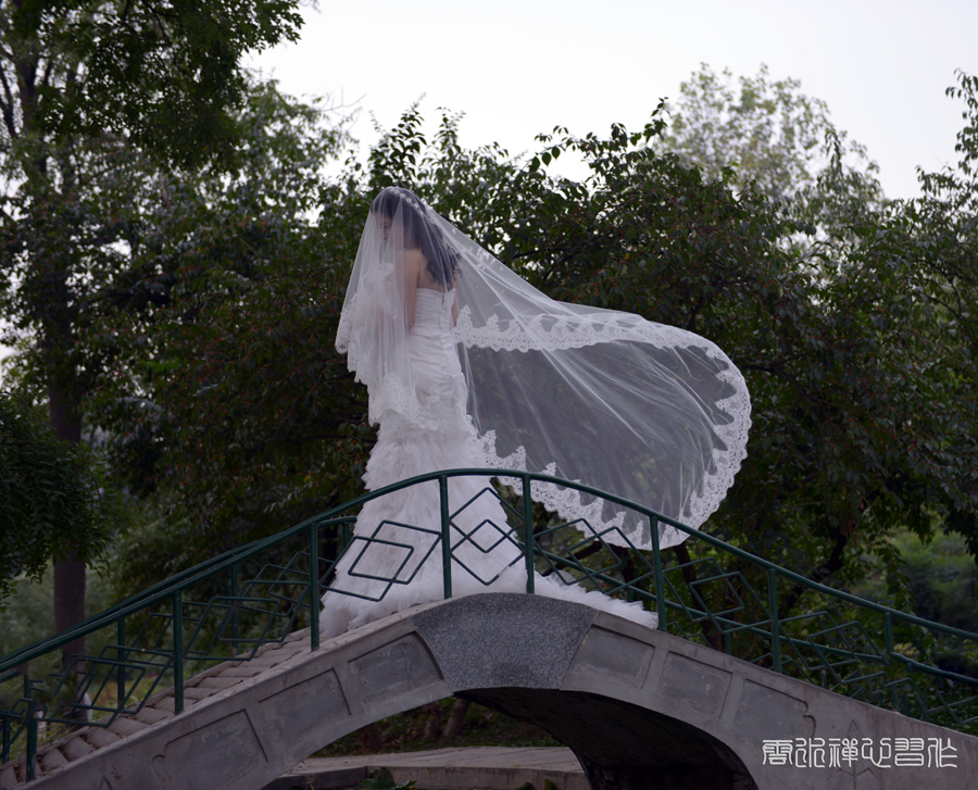 DSC_0512.JPG