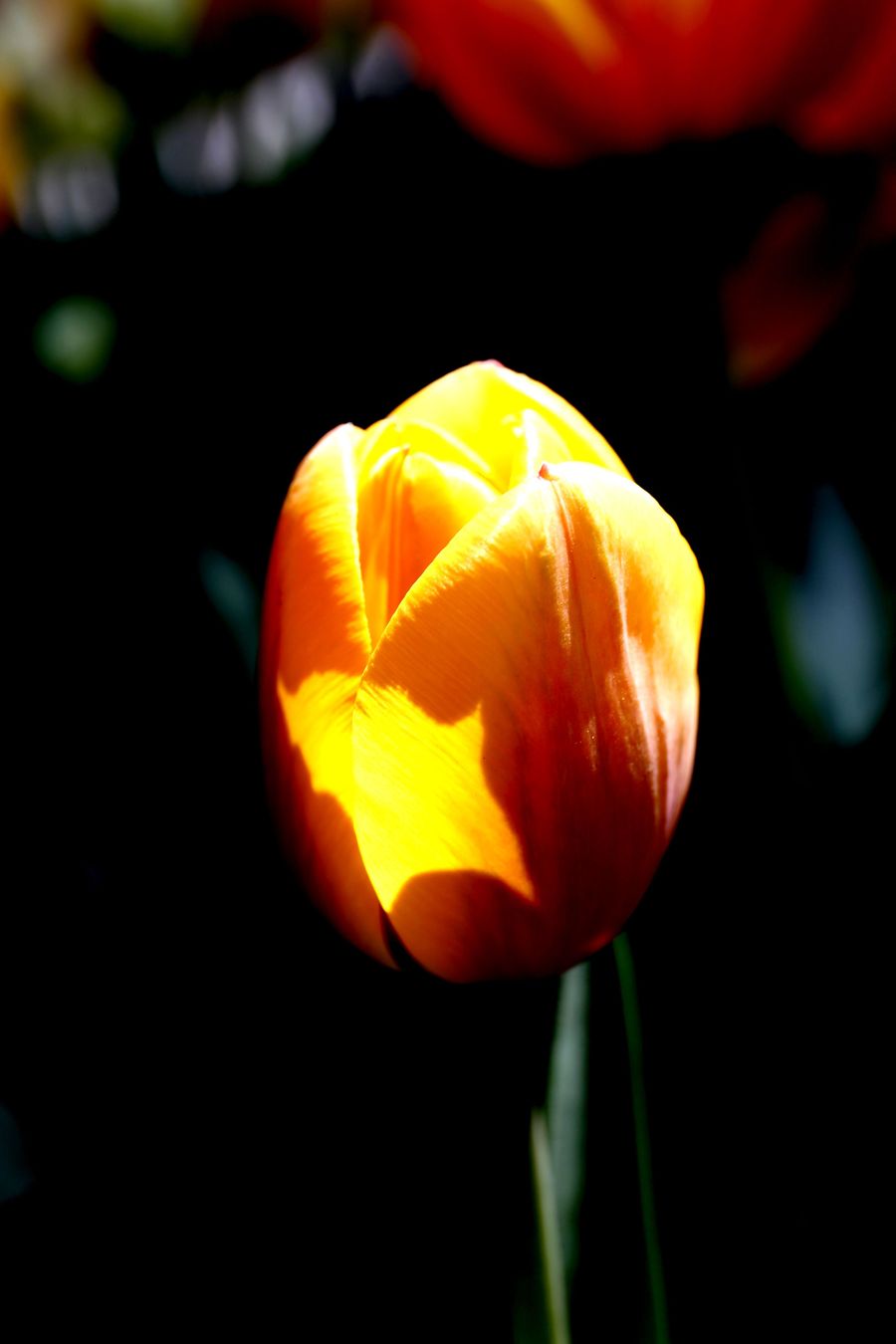 26838820_1380875911550_mthumb.jpg