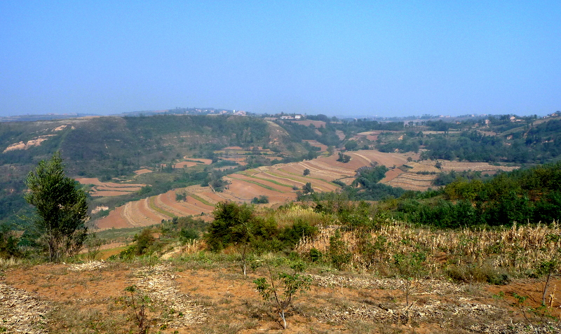 P1120790.JPG