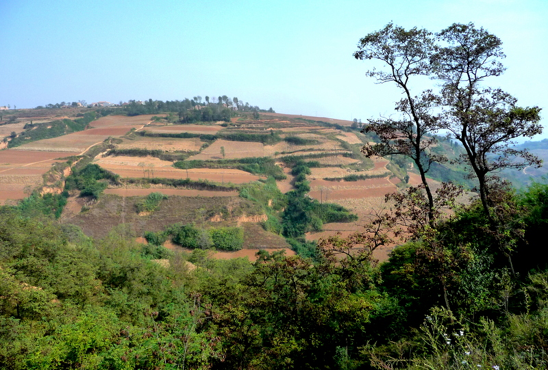 P1120792-001.JPG