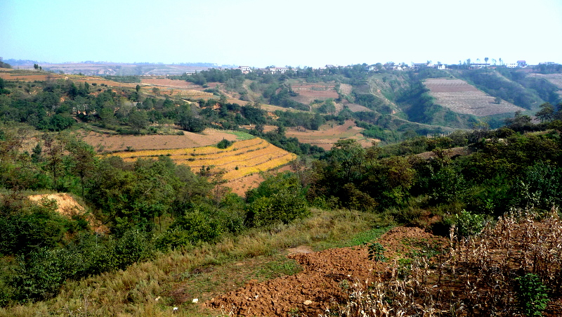 P1120793-001.JPG