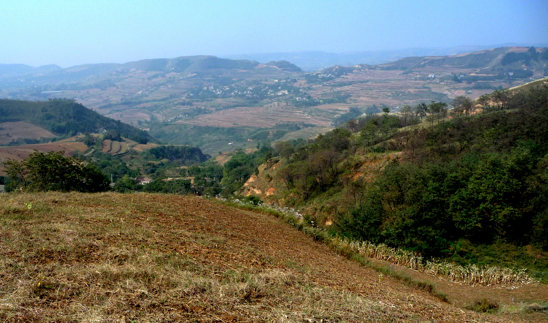P1120794-001.JPG