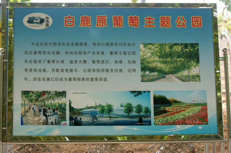 DSC07315.JPG