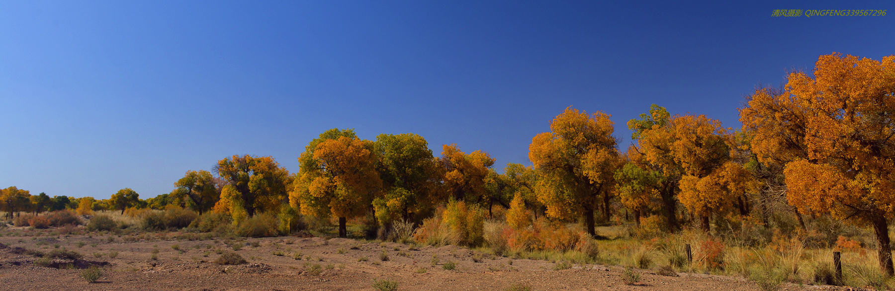 DSC_0820_副本.jpg