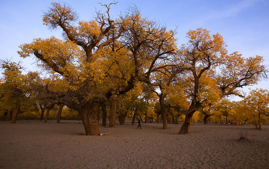 20131003_6587.jpg