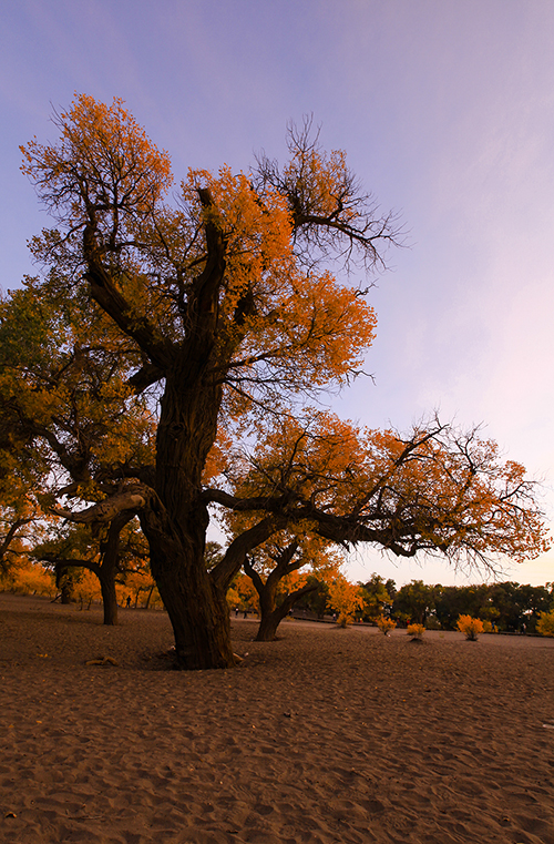 20131003_6599.jpg