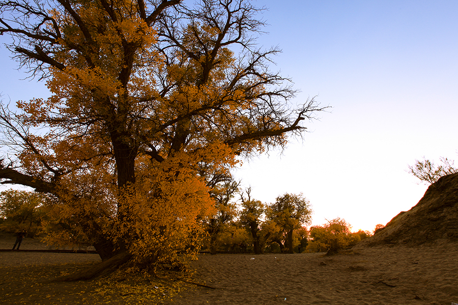 20131003_6605.jpg