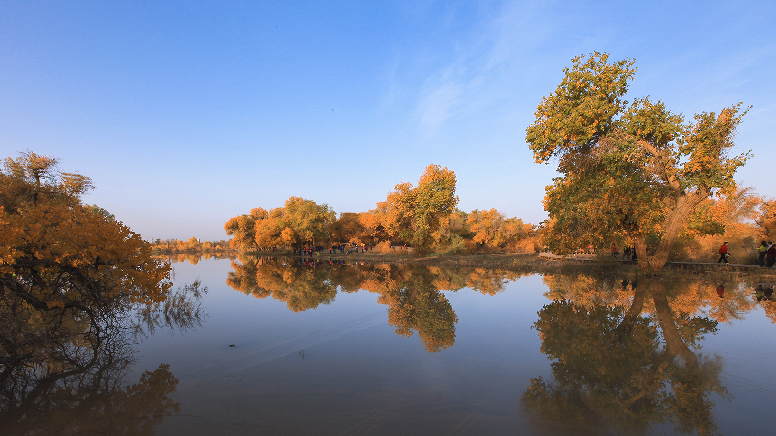 20131004_6198.jpg