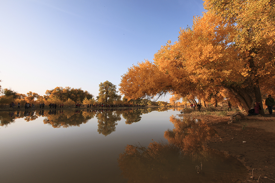 20131004_6204.jpg