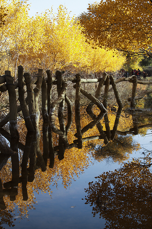 20131004_6248.jpg