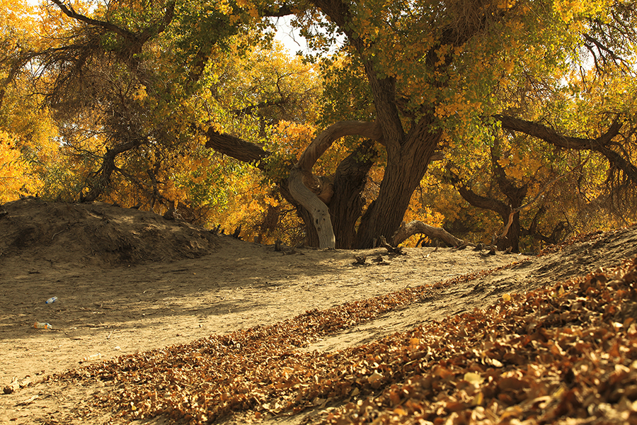 20131004_6340.jpg