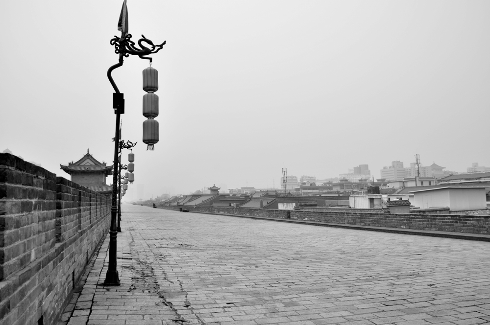 DSC_0101.jpg