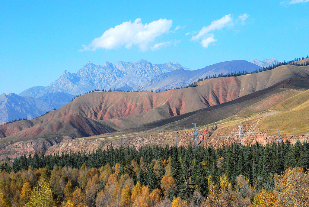 DSC_0428.JPG