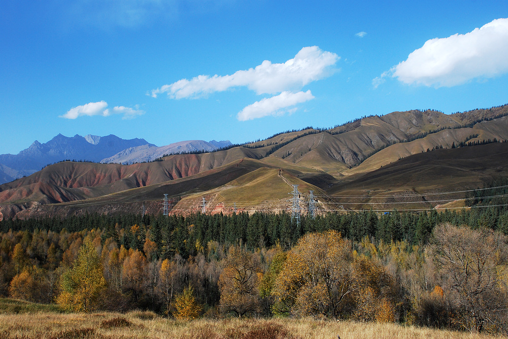 DSC_0459.JPG